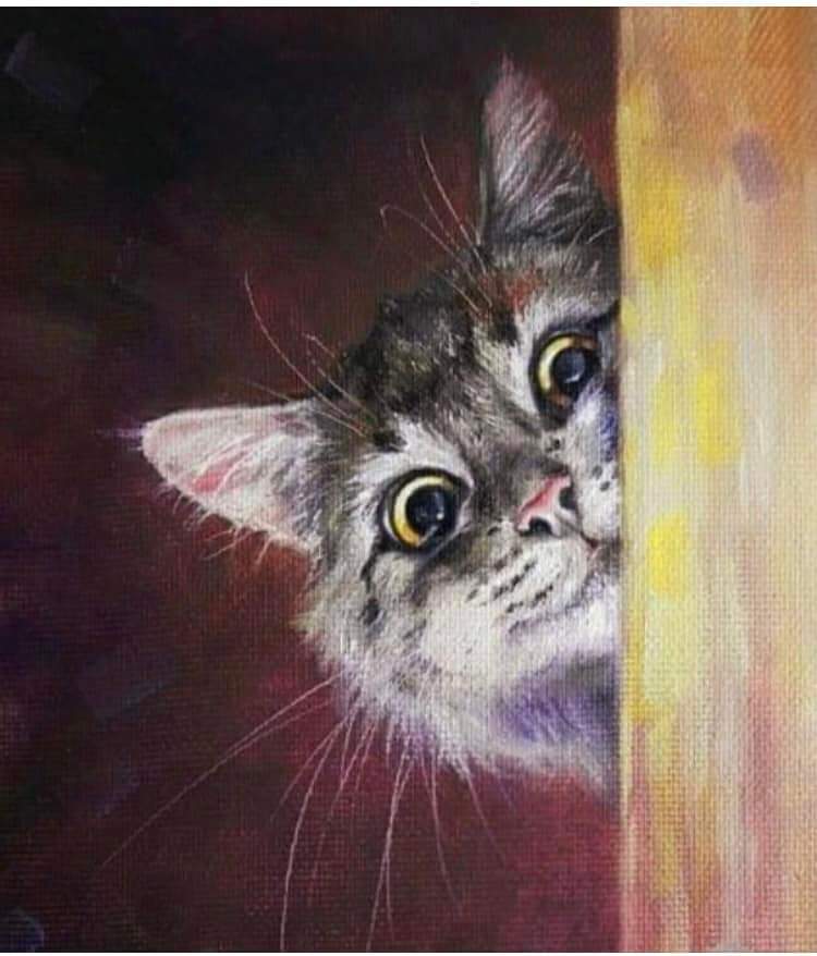 🖼