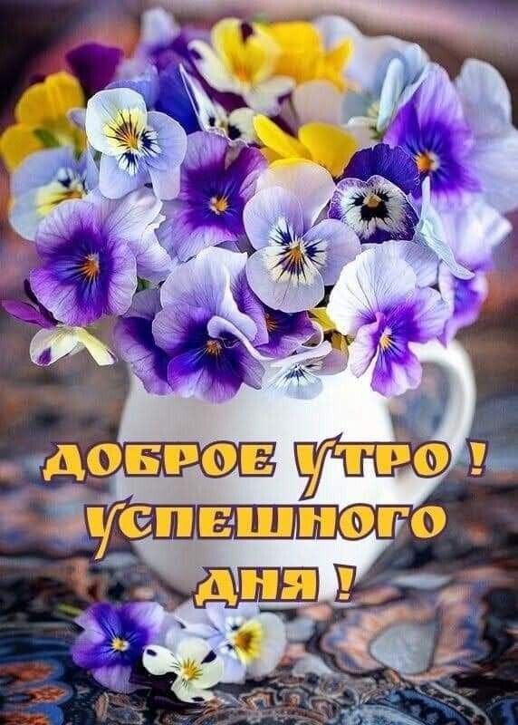 🖼