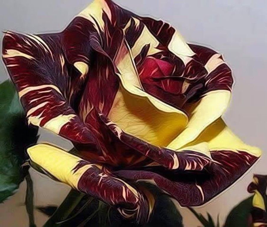 🖼