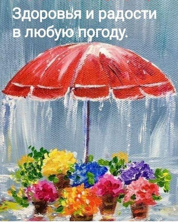🖼