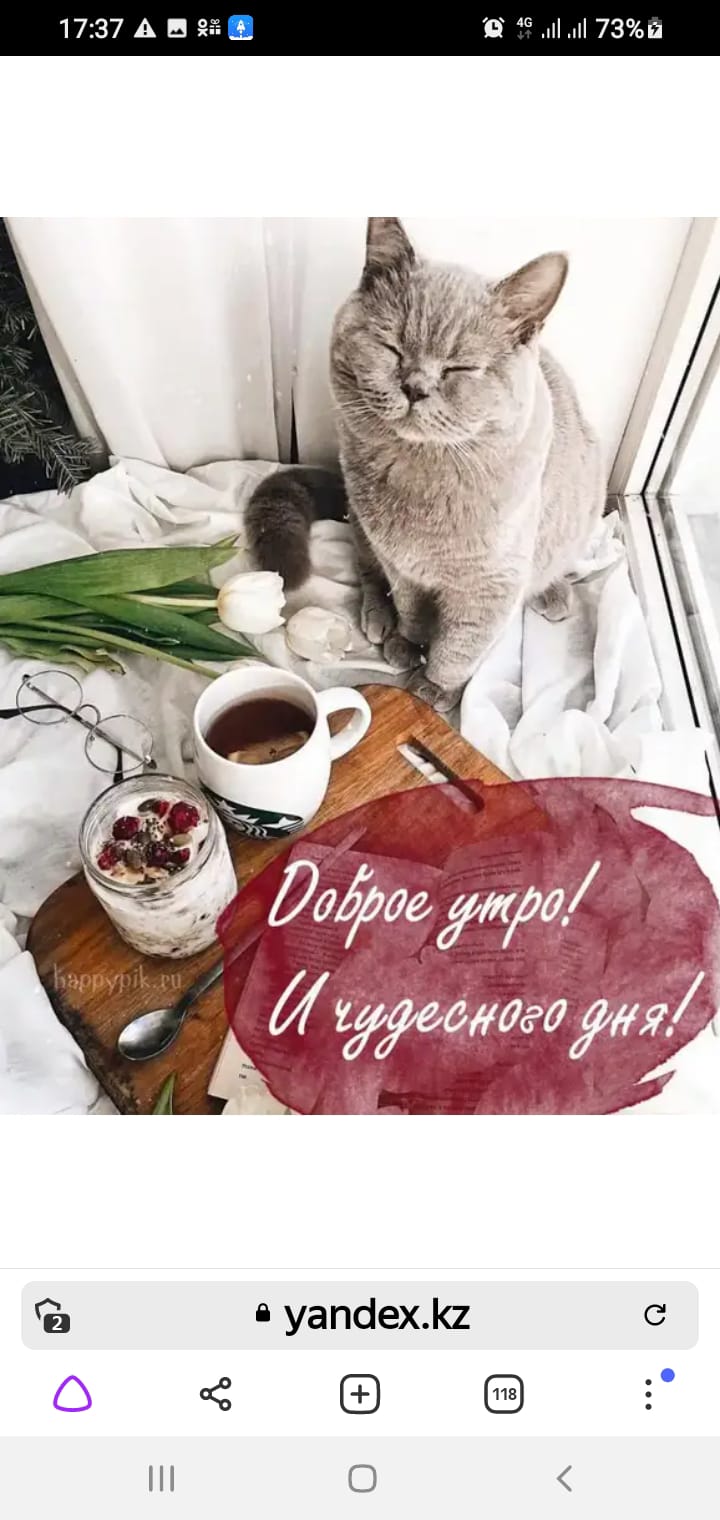🖼