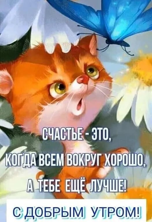 🖼