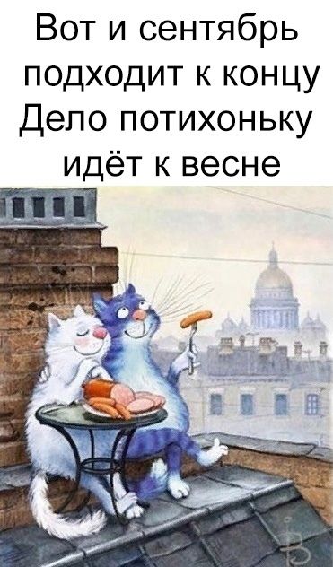🖼