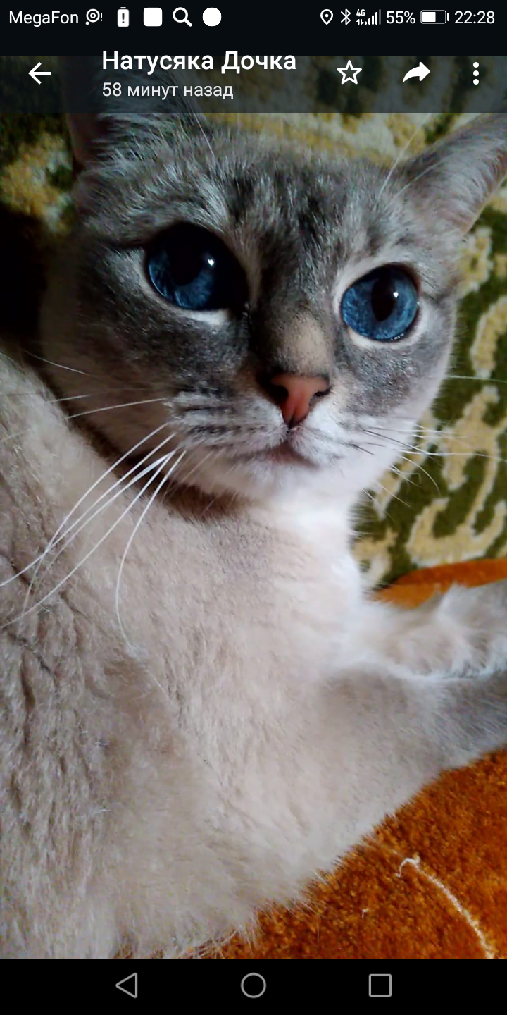 🖼