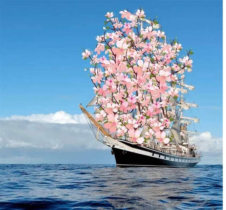 🖼