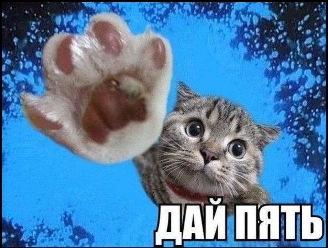 🖼