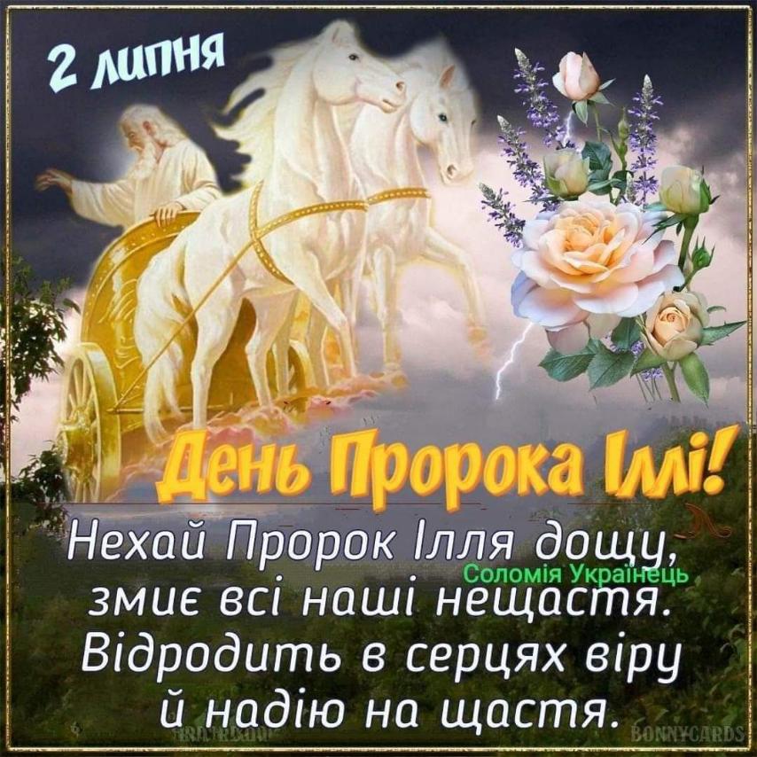 🖼