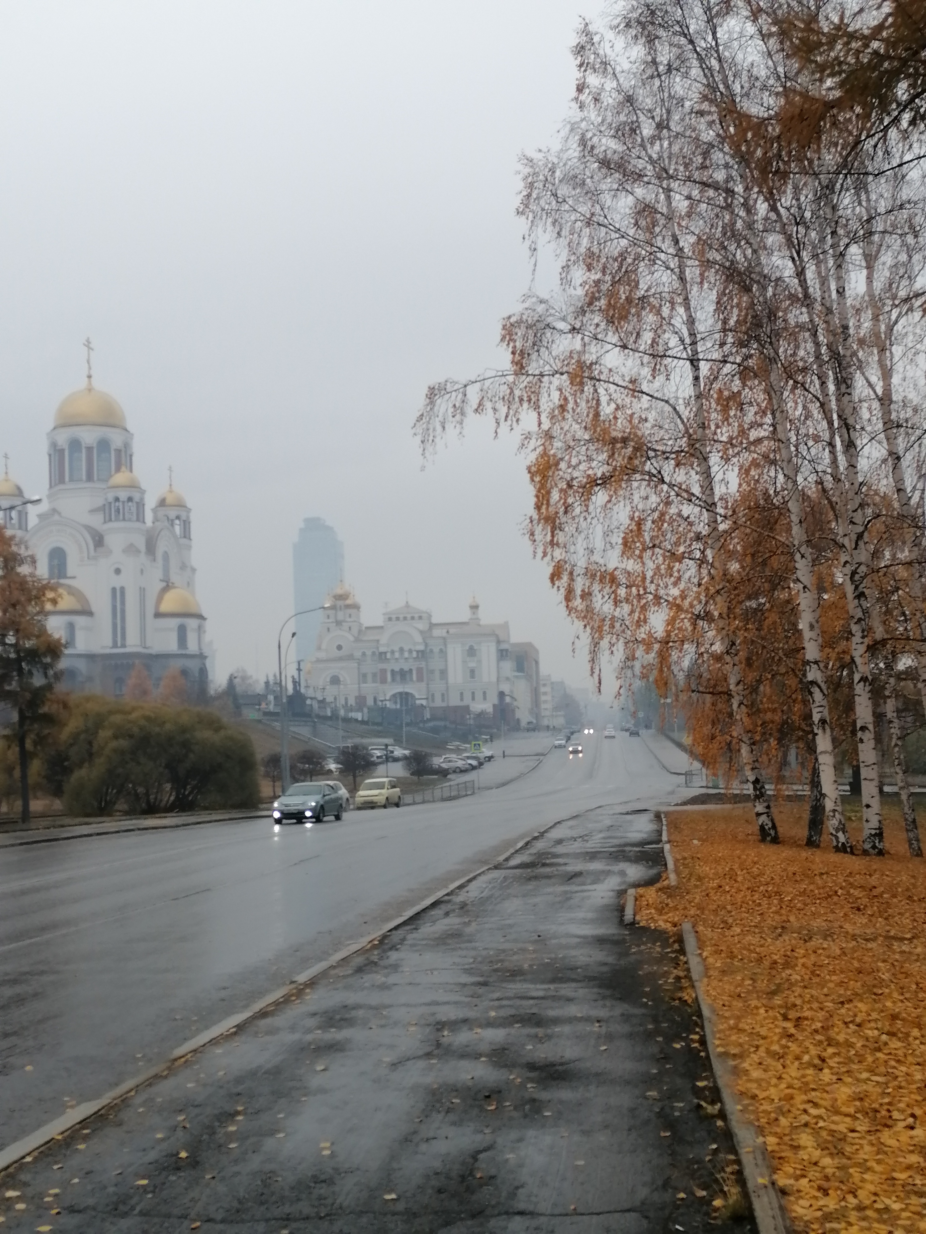 🖼