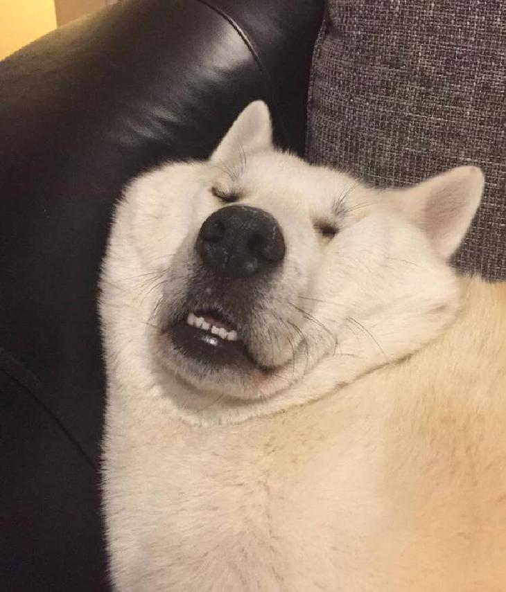 🖼