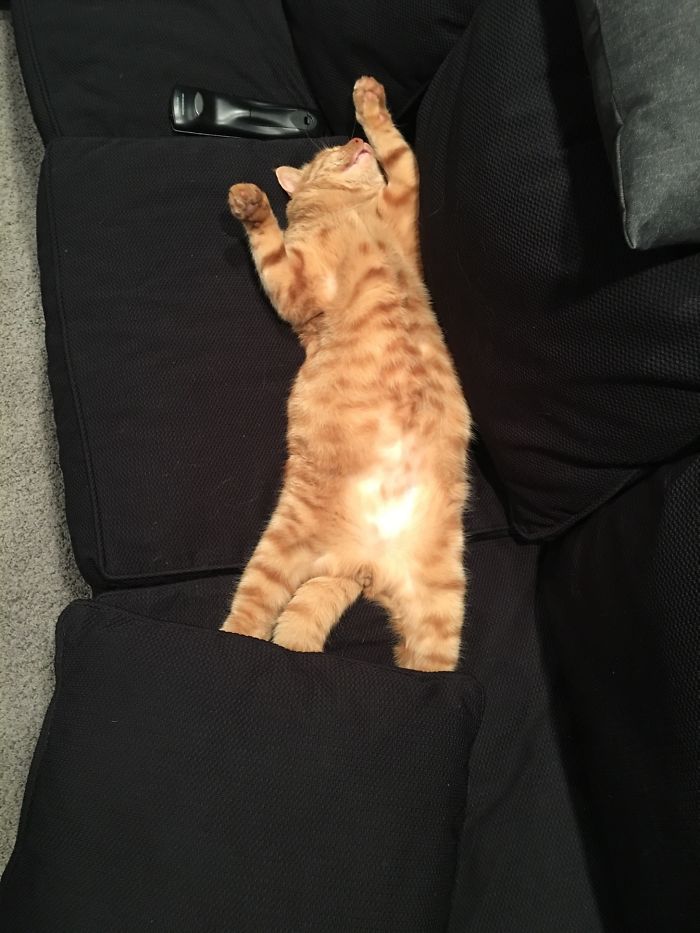 🖼