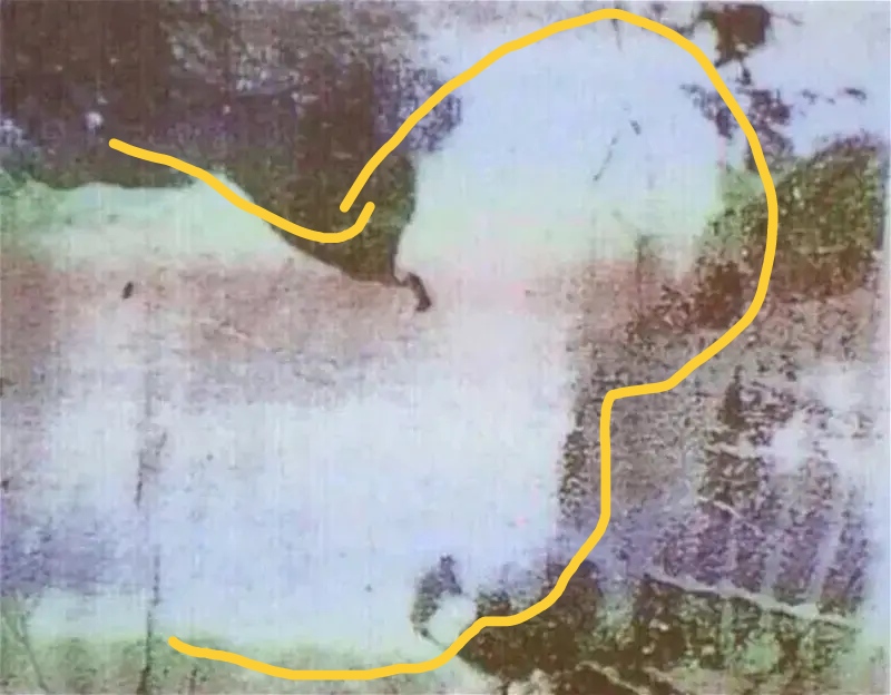 🖼