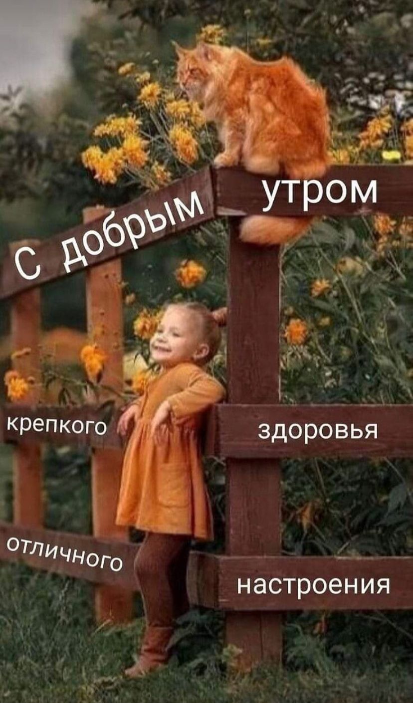 🖼