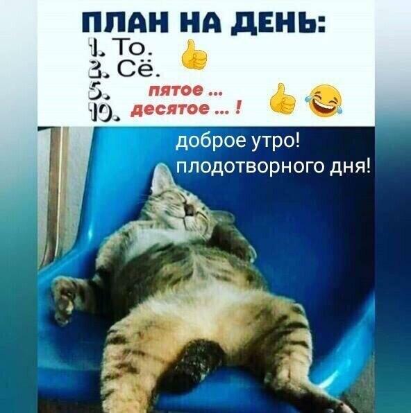 🖼