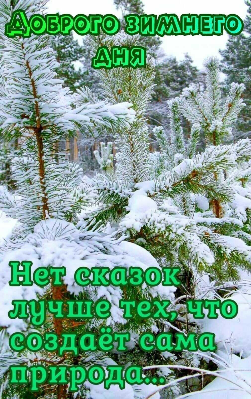 🖼