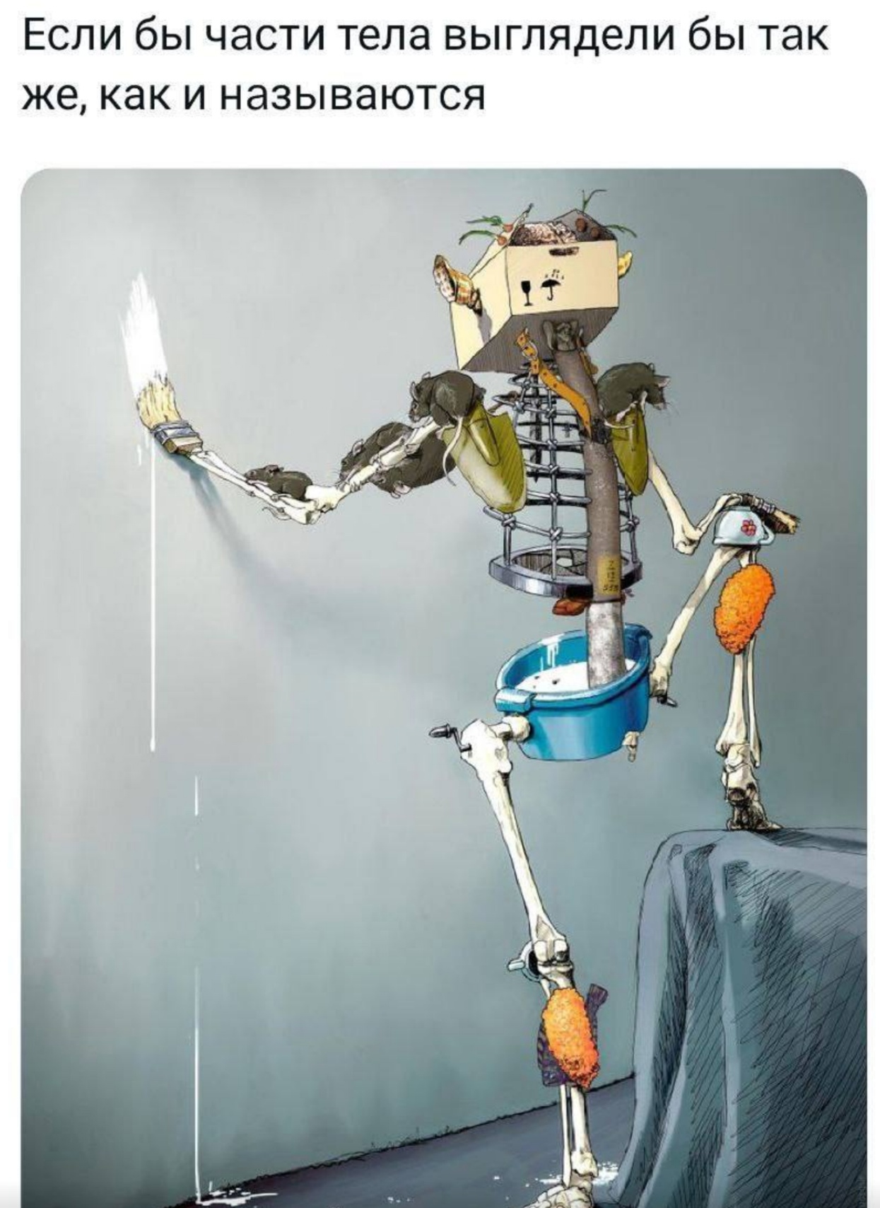 🖼