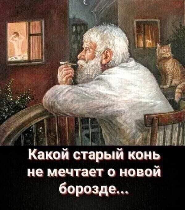 🖼