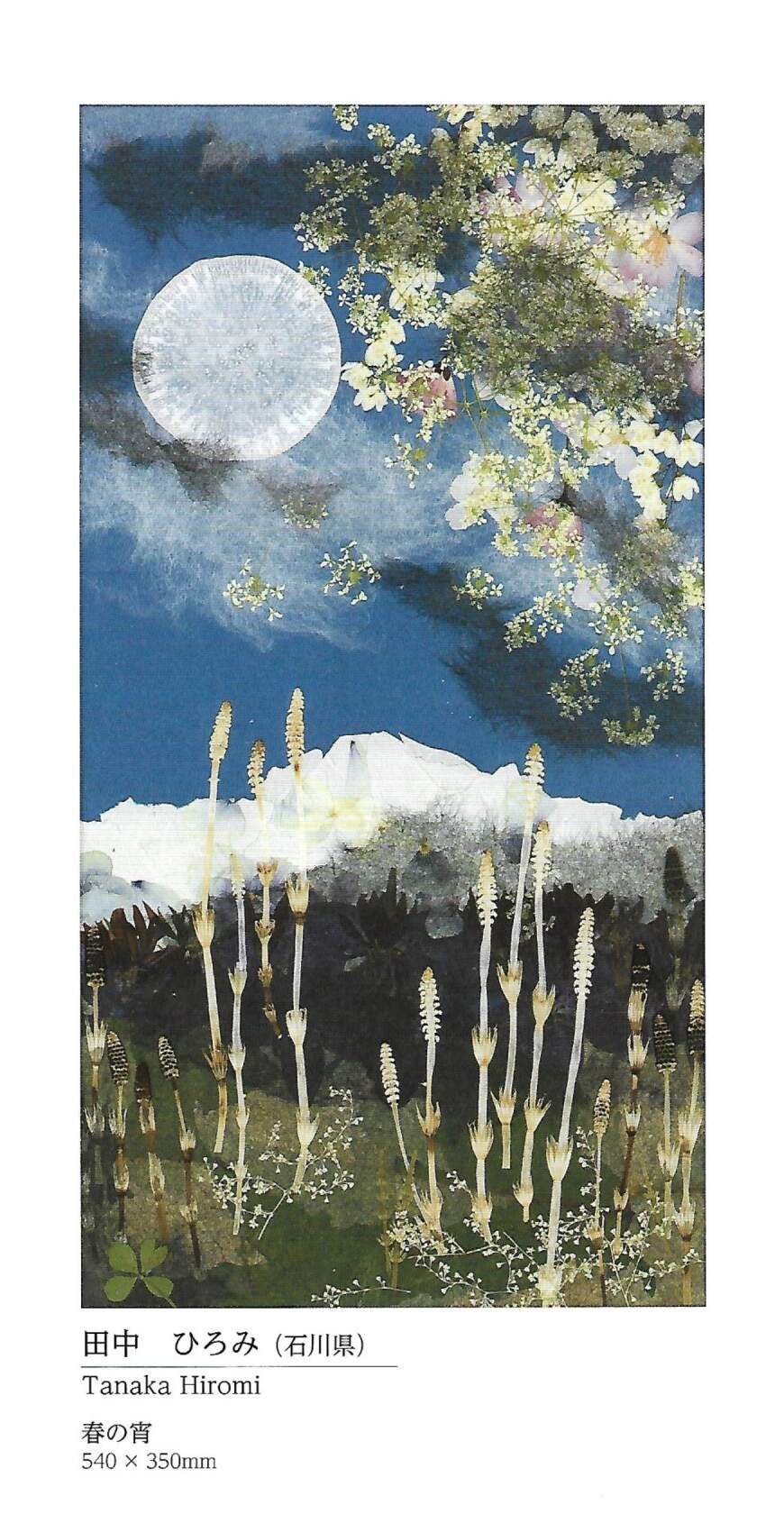 🖼