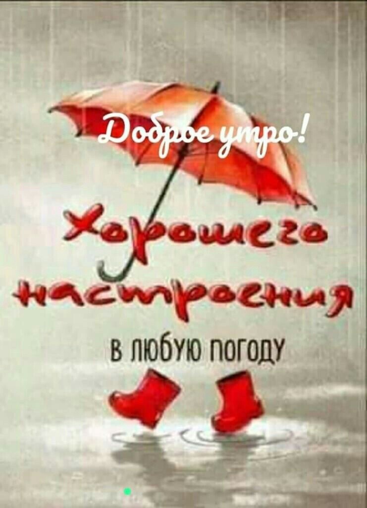 🖼