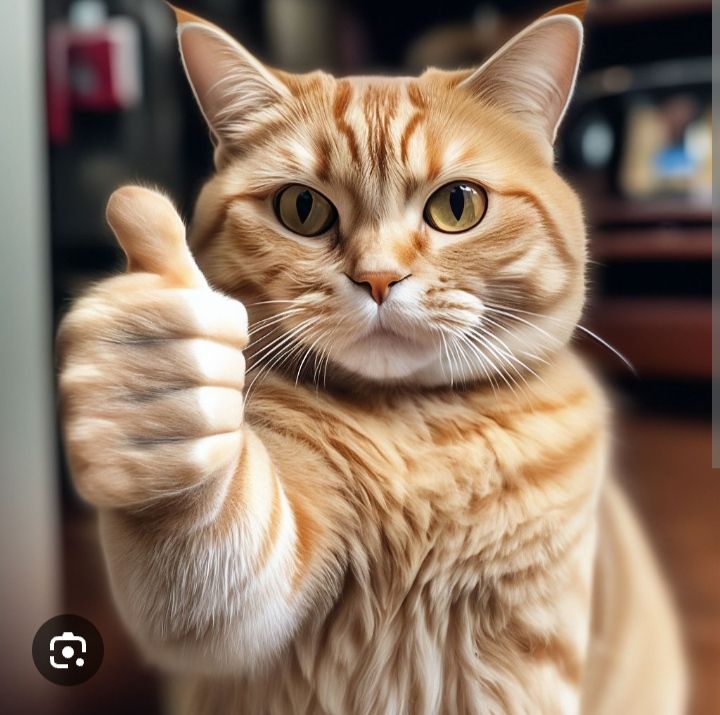🖼