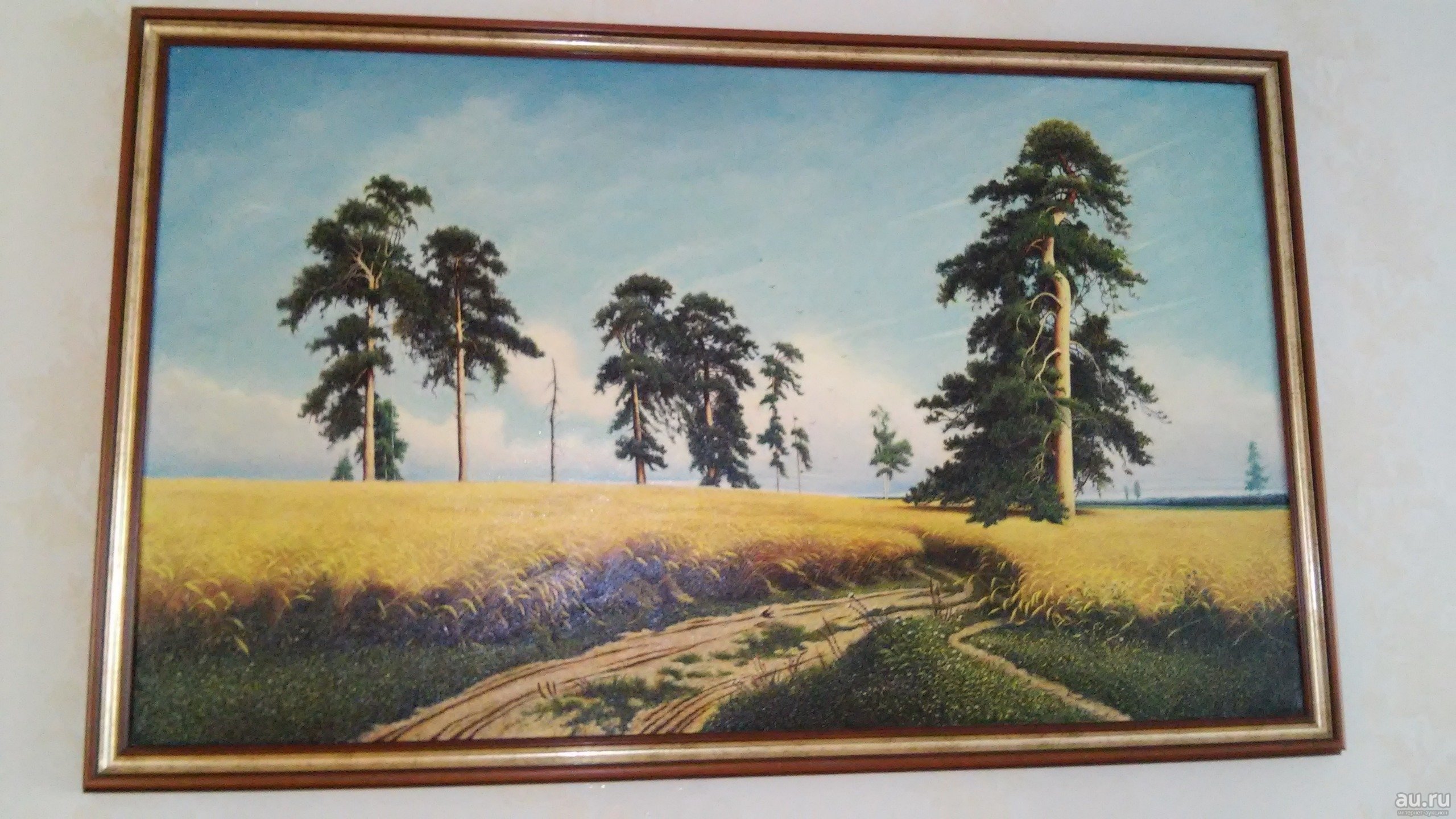 🖼