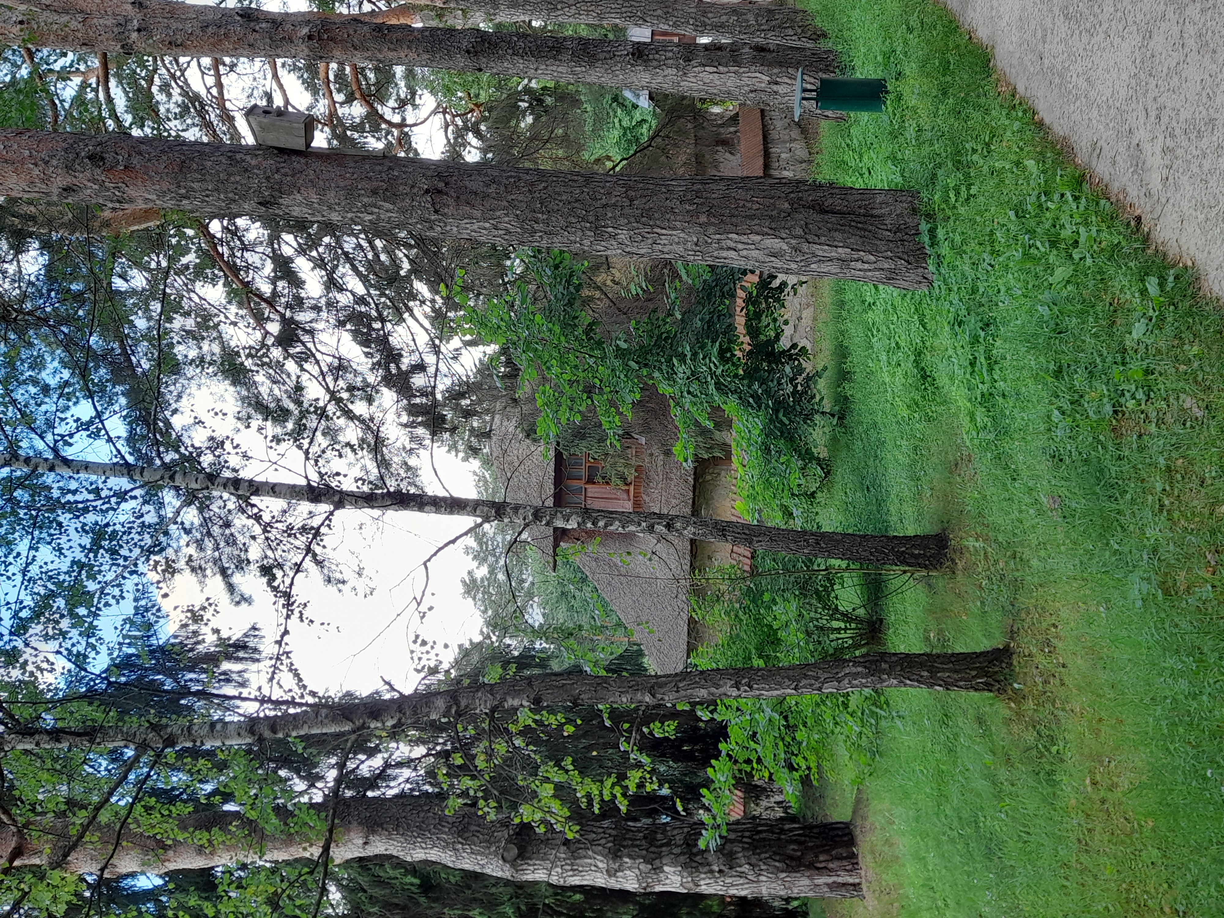 🖼
