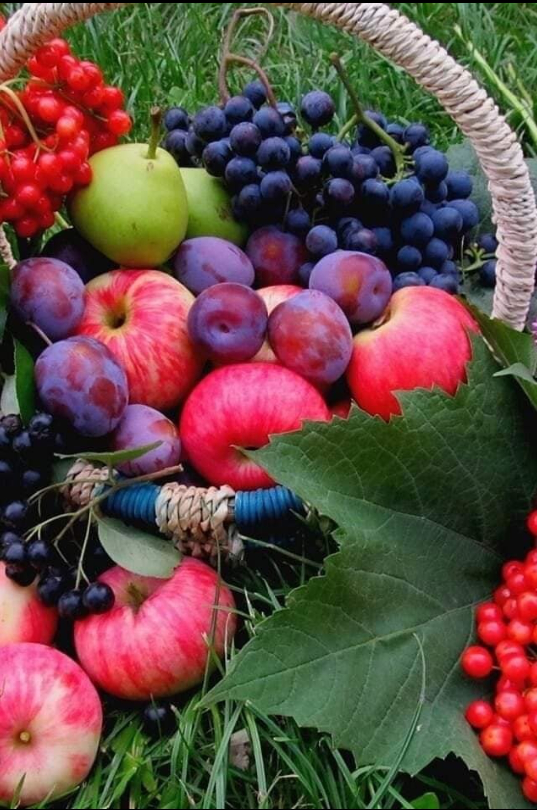 🖼