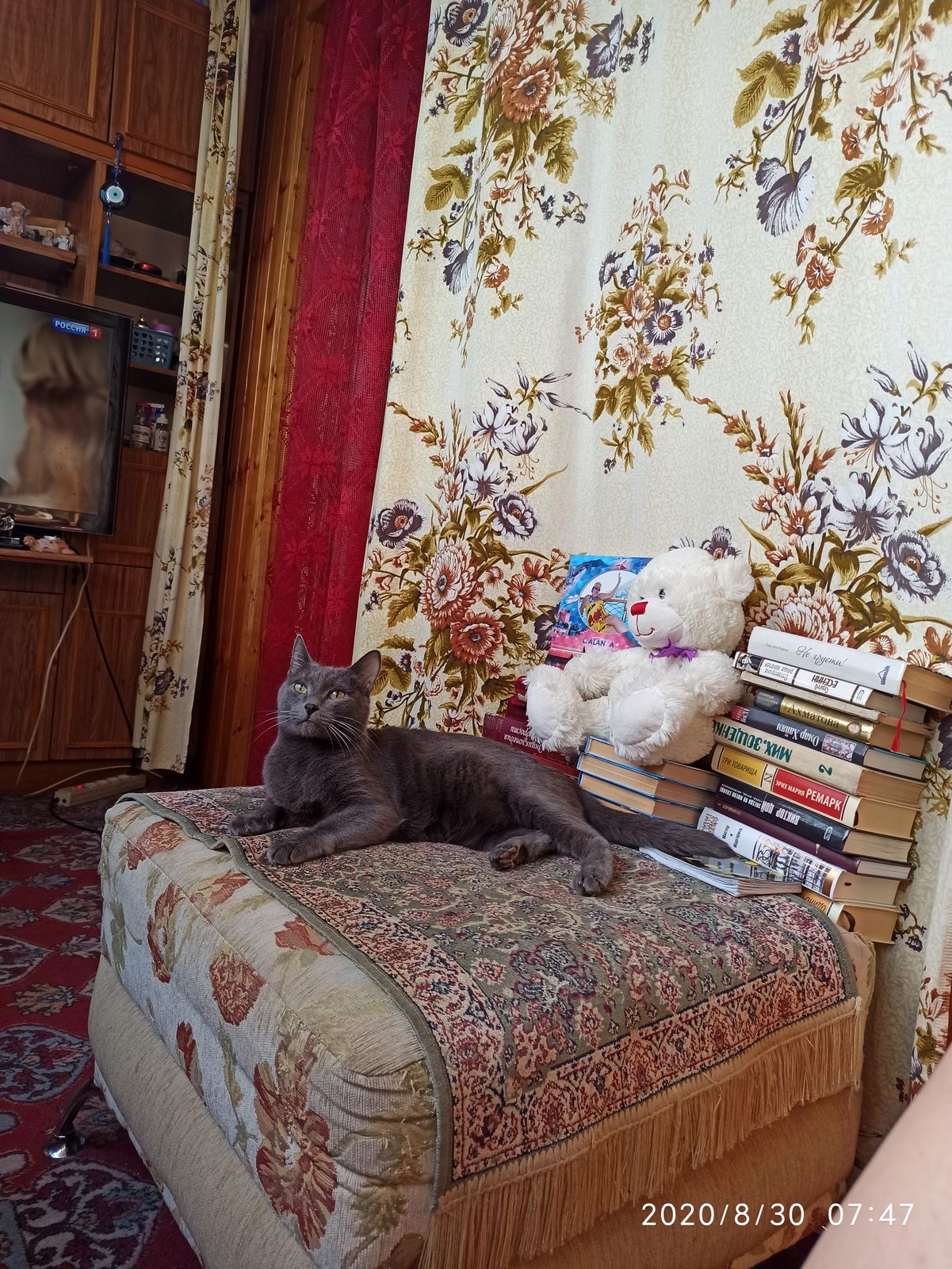 🖼