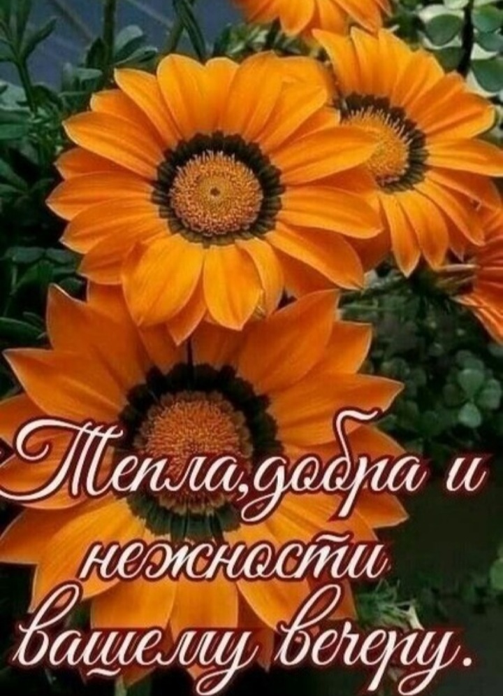 🖼