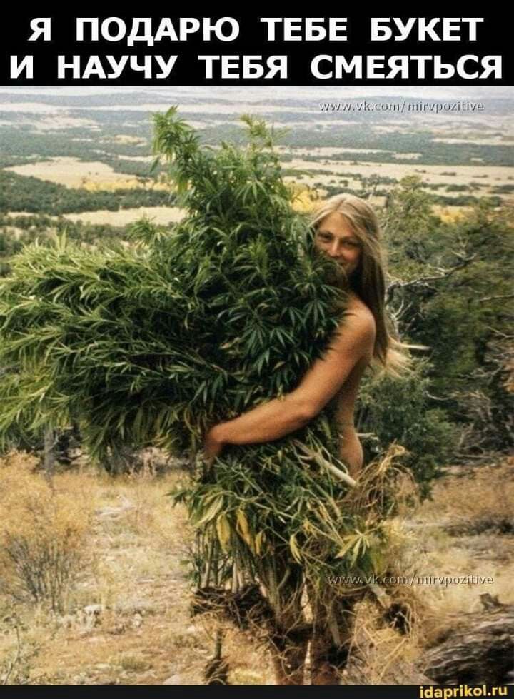 🖼