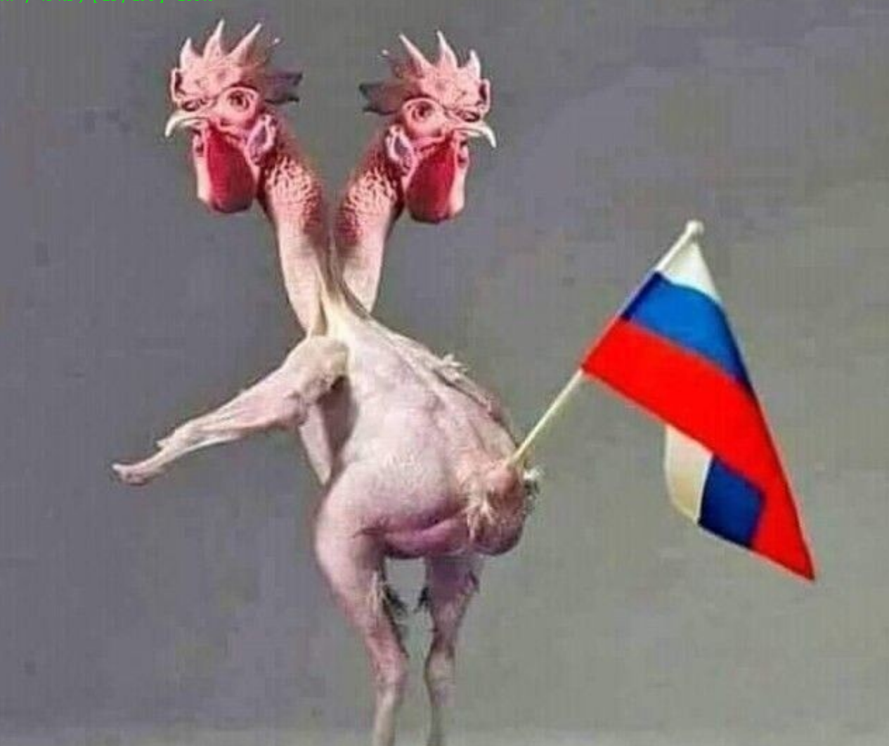 🖼