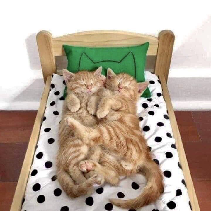 🖼