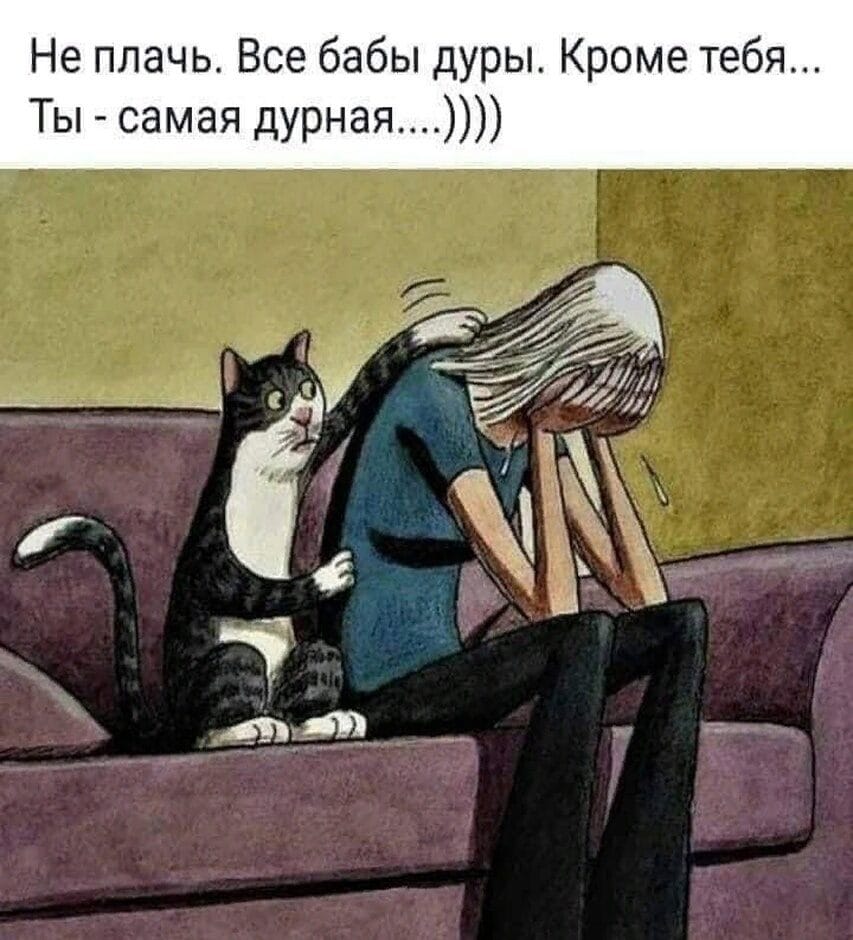 🖼