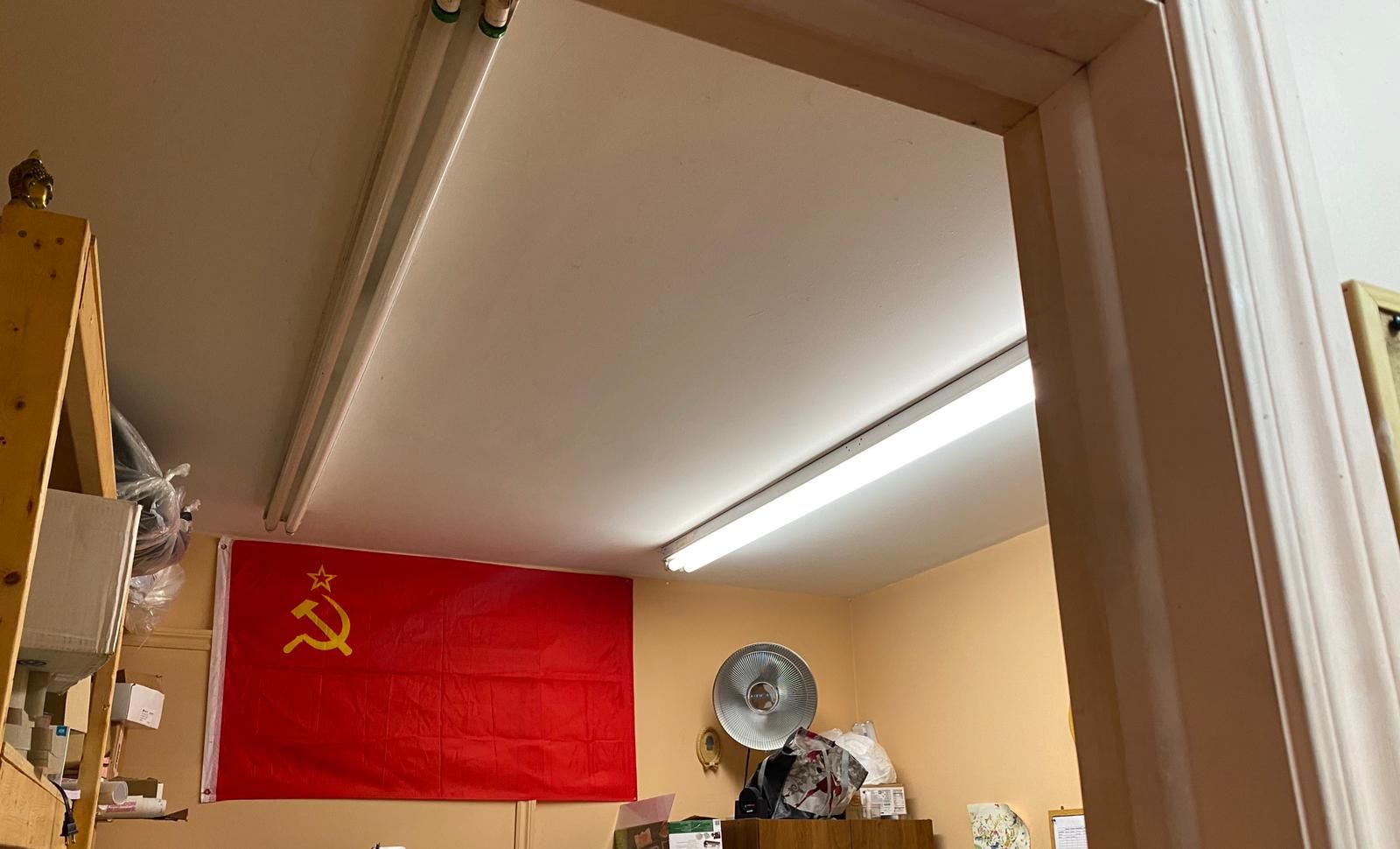 🖼