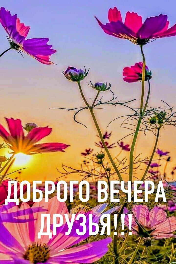 🖼