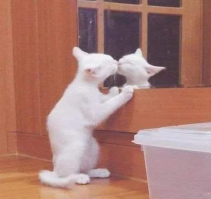 🖼