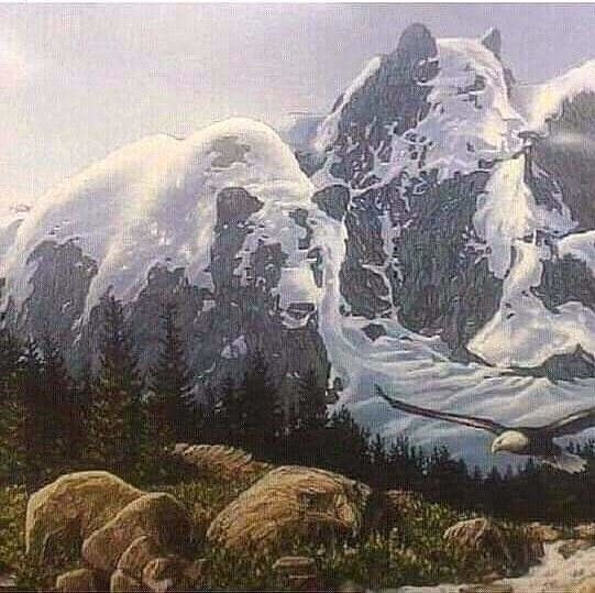 🖼