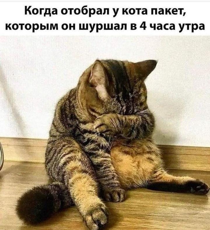 🖼