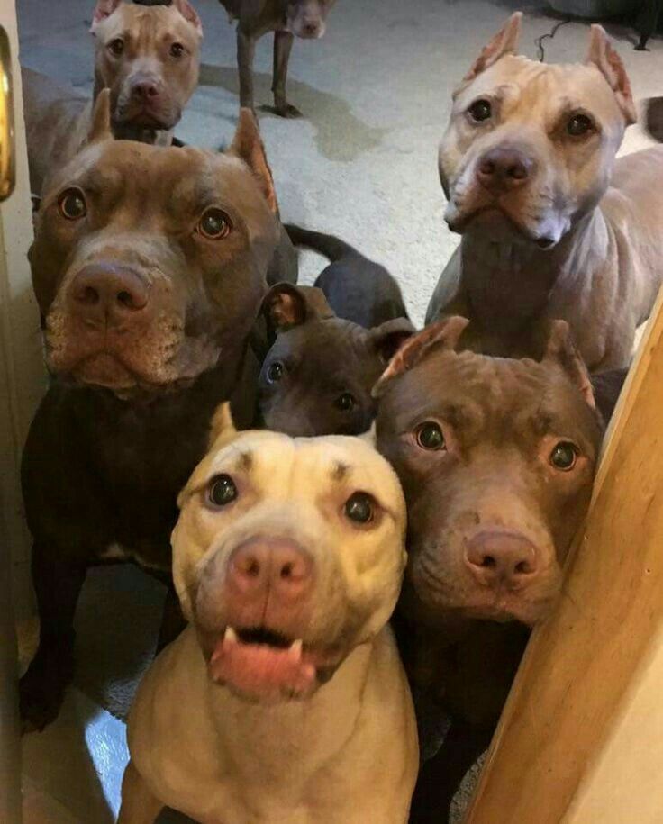 🖼
