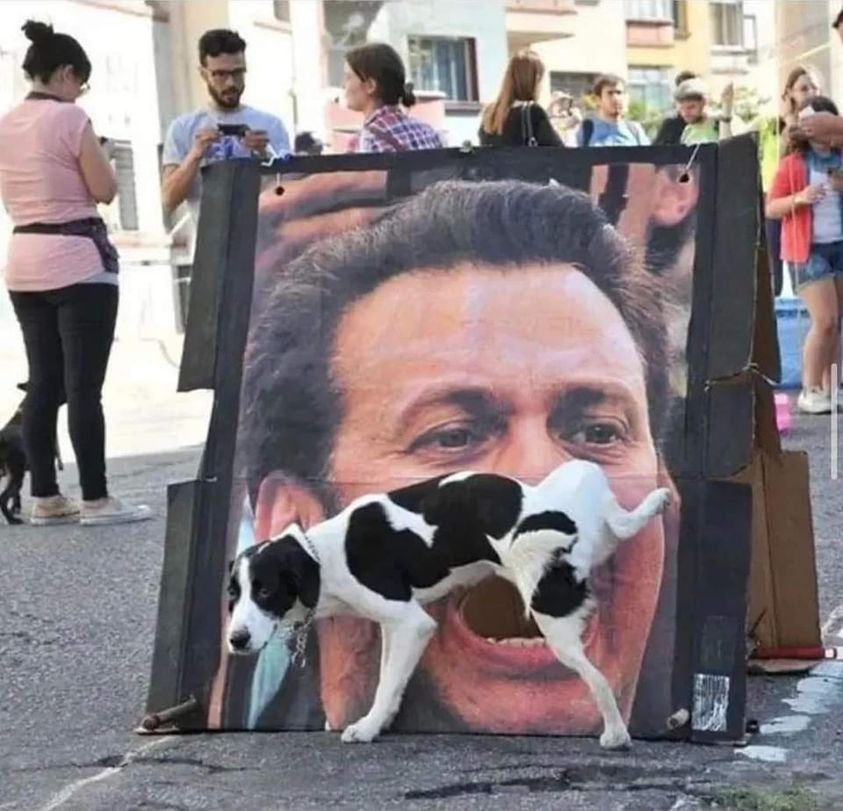 🖼