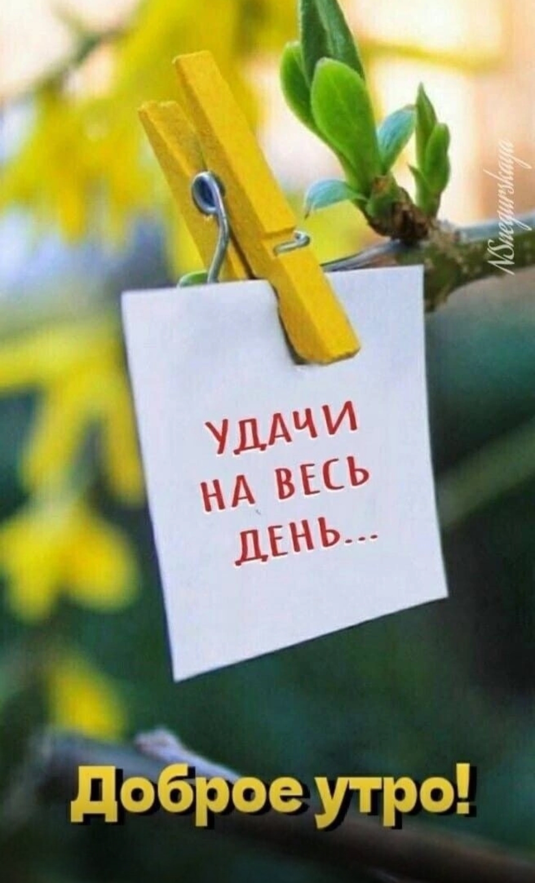 🖼