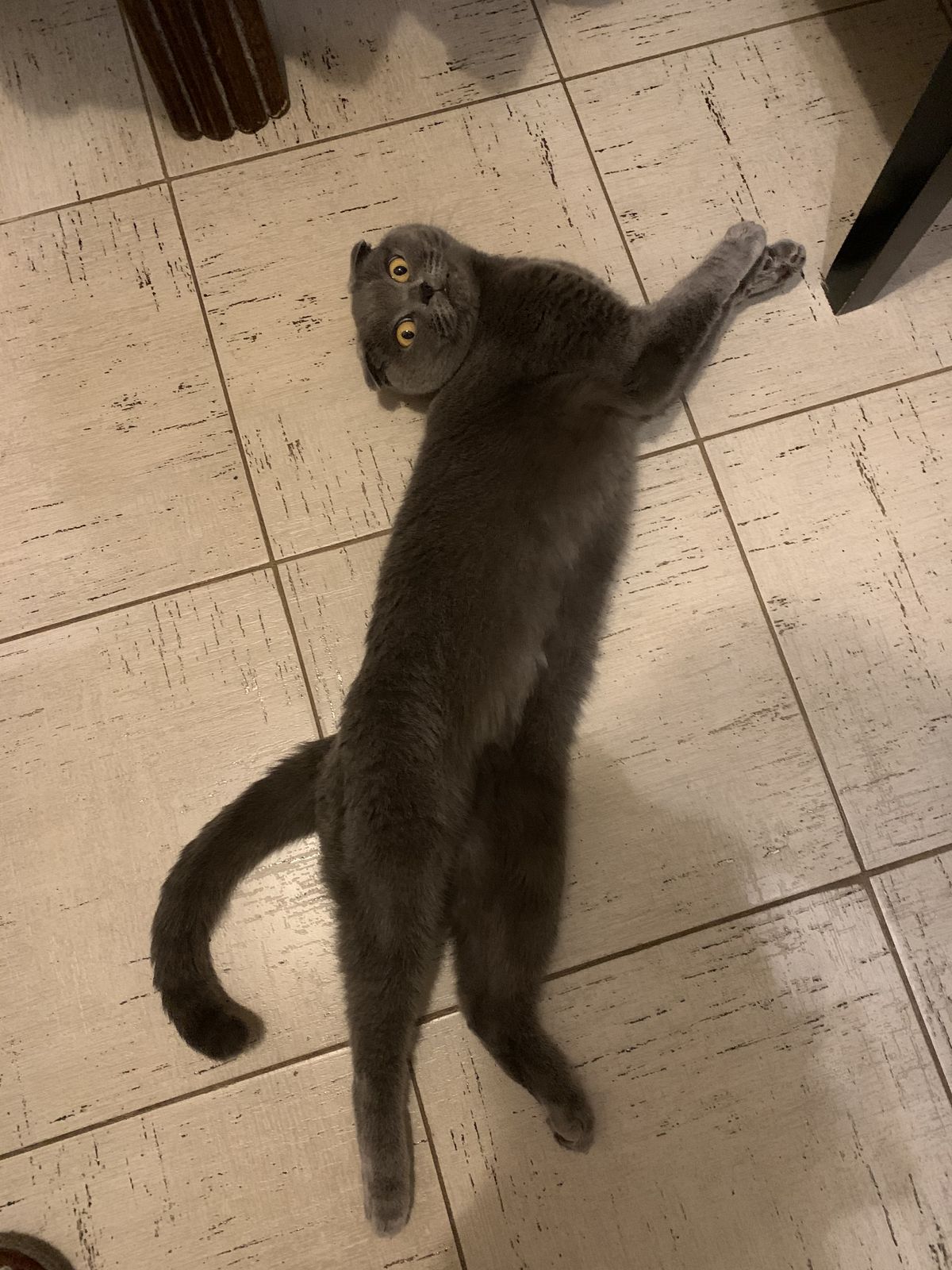 🖼