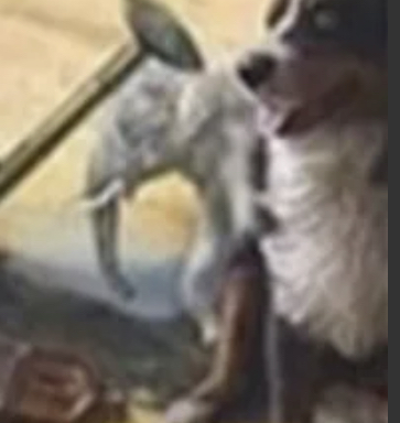 🖼