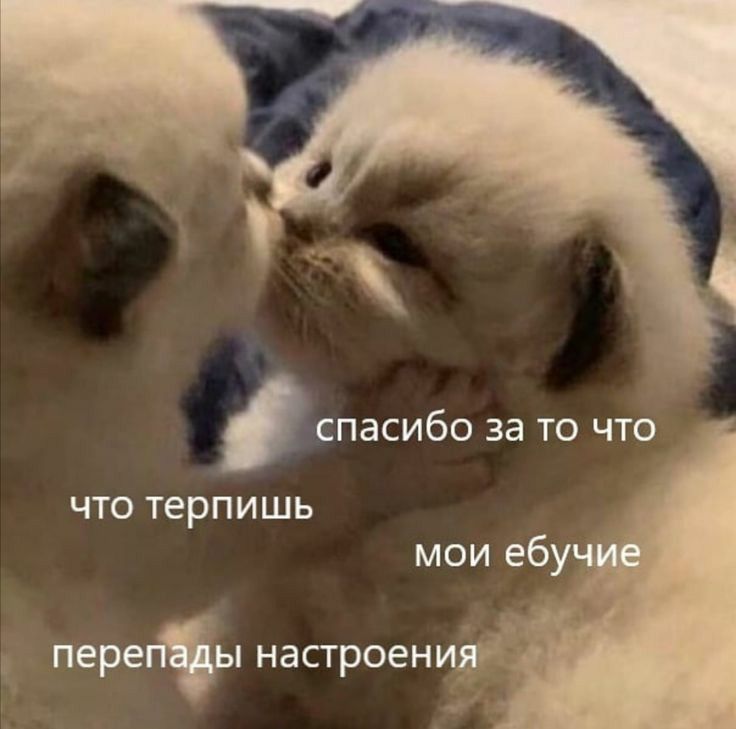 🖼