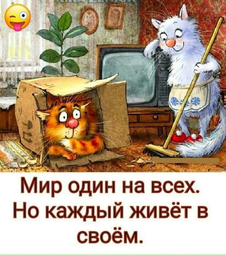 🖼
