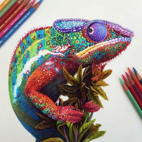 🖼