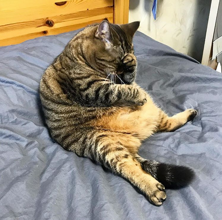 🖼