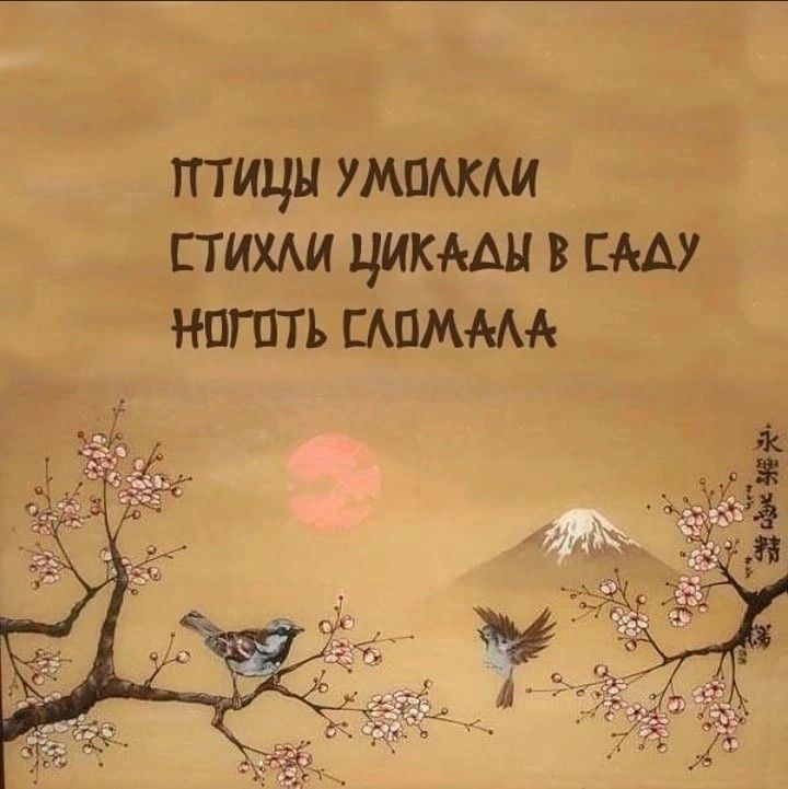 🖼