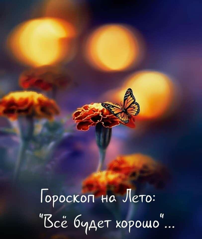 🖼