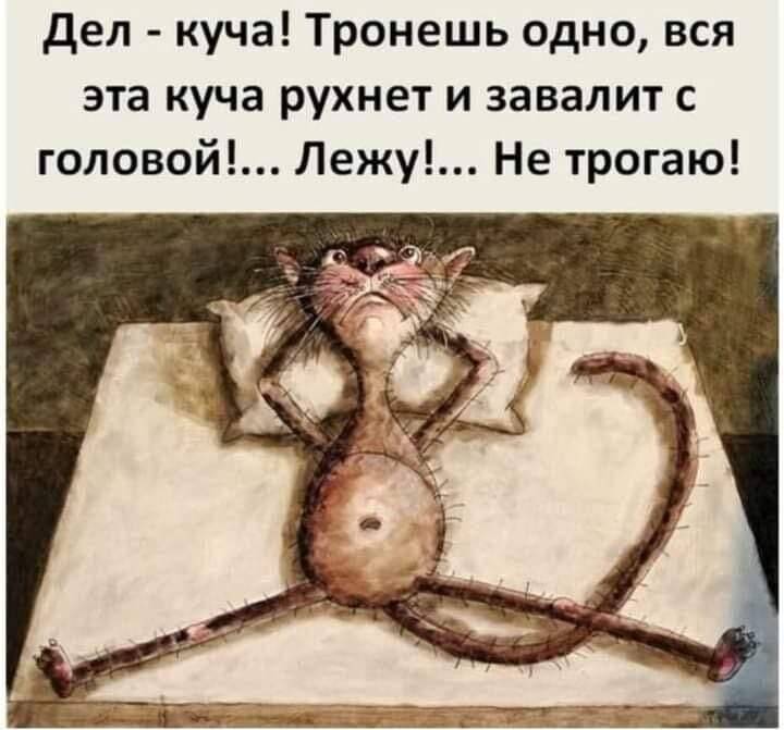 🖼