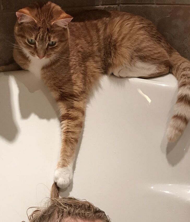 🖼